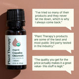 Plant Therapy en difusor ambientando una sala con aroma