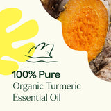 Plant Therapy etiqueta con número de lote y sello USDA Organic que garantiza trazabilidad