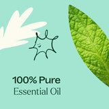 Plant Therapy en difusor sobre escritorio, crea ambiente fresco y concentración