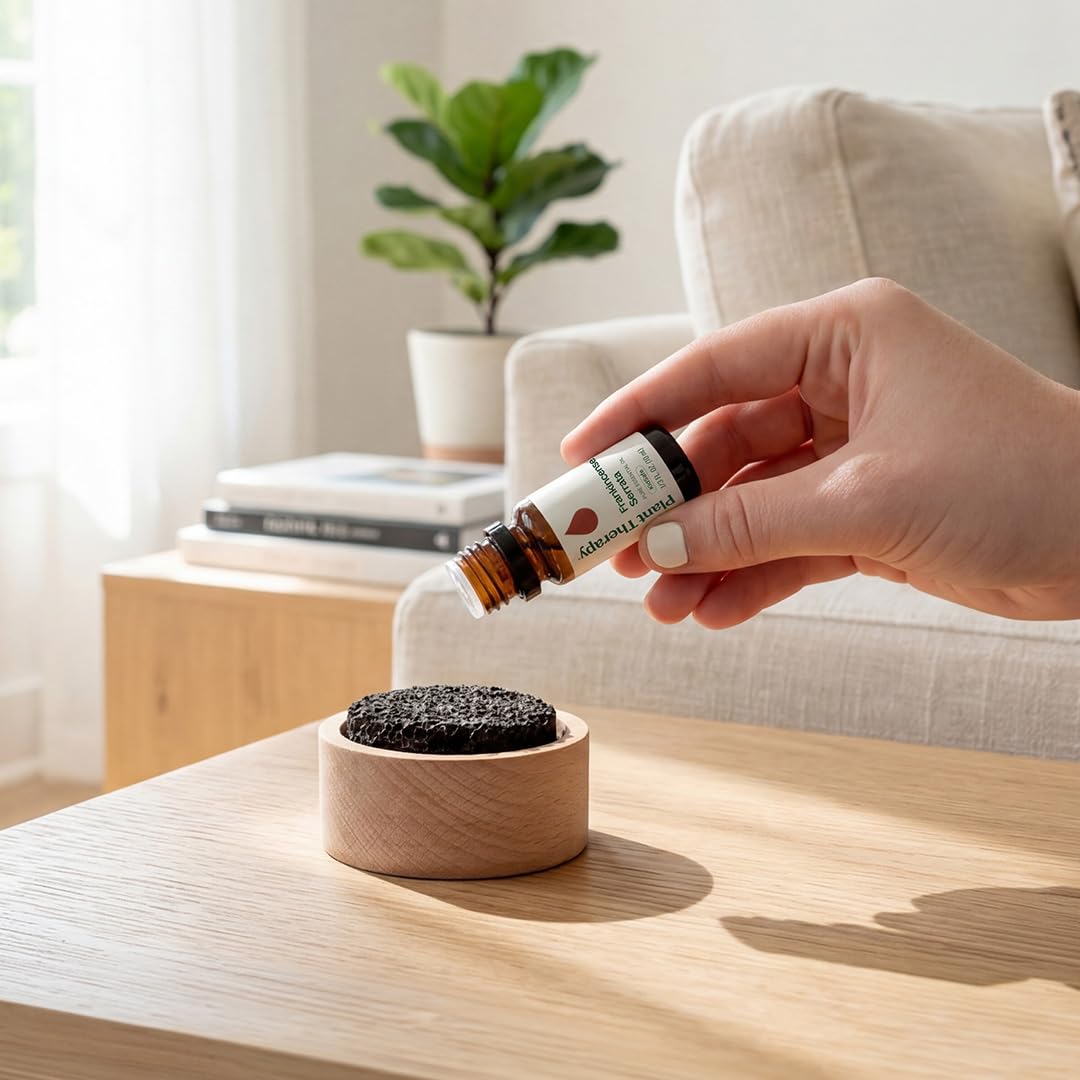 Plant Therapy difusor en caja lista para regalo con presentación cuidada