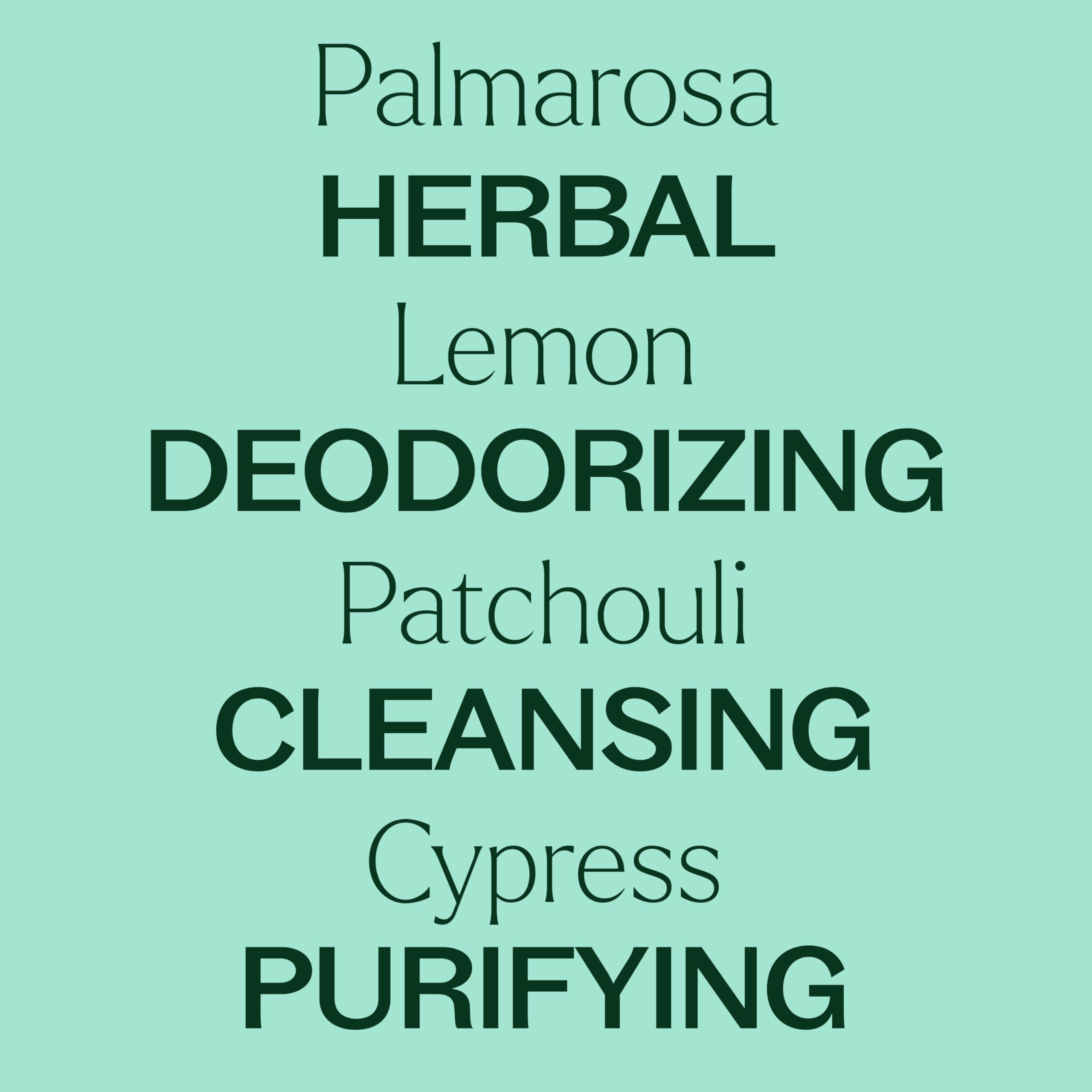 Plant Therapy difusor en sala demostrando frescura ambiental inmediata