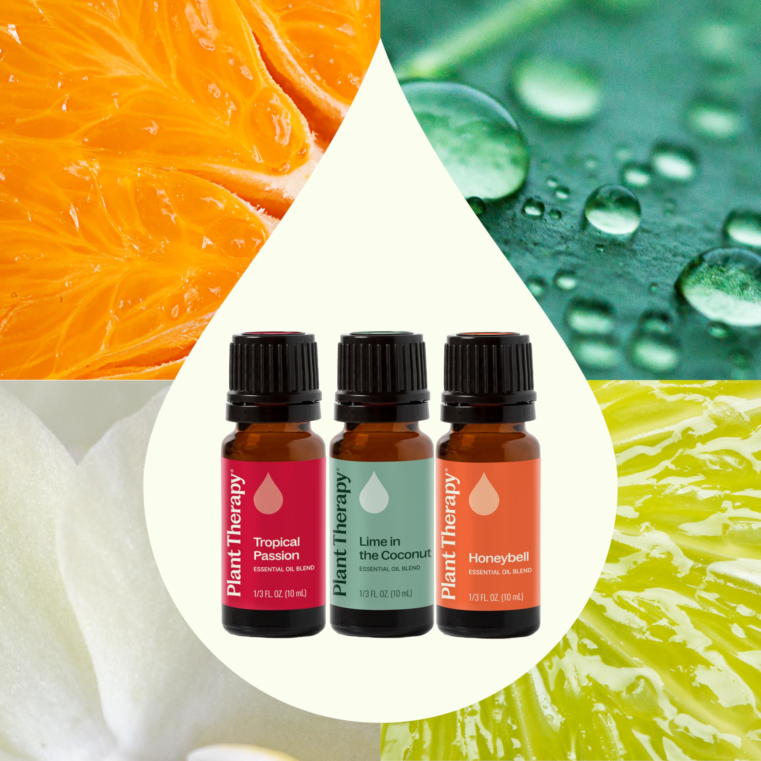 Plant Therapy aroma difundido en difusor creando ambiente fresco