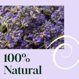 Plant Therapy escena de estilo de vida con cama ordenada y ambiente calmado