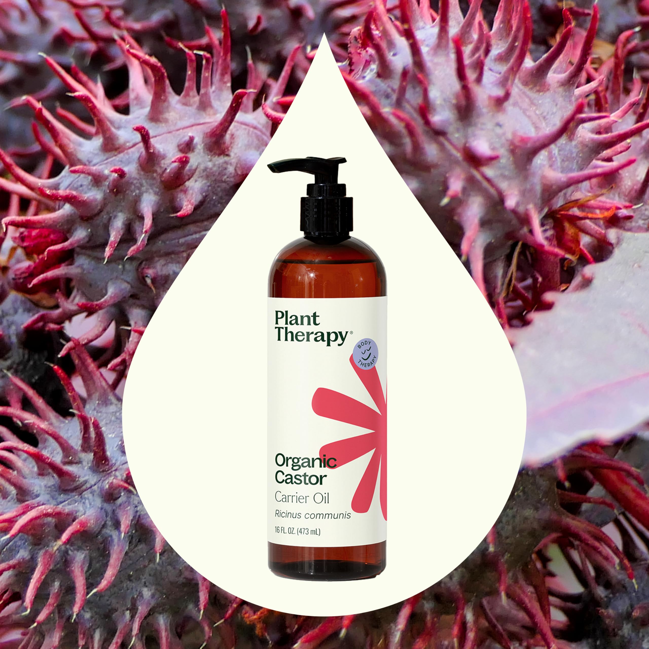 Plant Therapy primer plano de etiqueta USDA Organic y detalles de producto