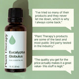 Plant Therapy aceite en difusor activo ambientando una sala y promoviendo frescura