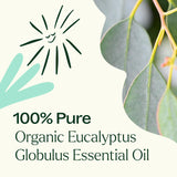 Plant Therapy botella junto a regla para comparar su tamaño 30 mL