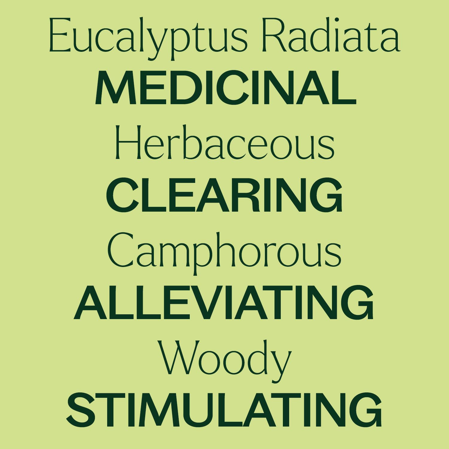Plant Therapy aceite Eucalyptus Radiata en difusor creando ambiente fresco y concentrado