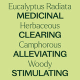 Plant Therapy aceite Eucalyptus Radiata en difusor creando ambiente fresco y concentrado