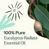 Plant Therapy Eucalyptus Radiata mezclado con mandarina y pino para sinergia aromática