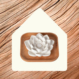 Plant Therapy base de madera natural que aporta estabilidad y estilo