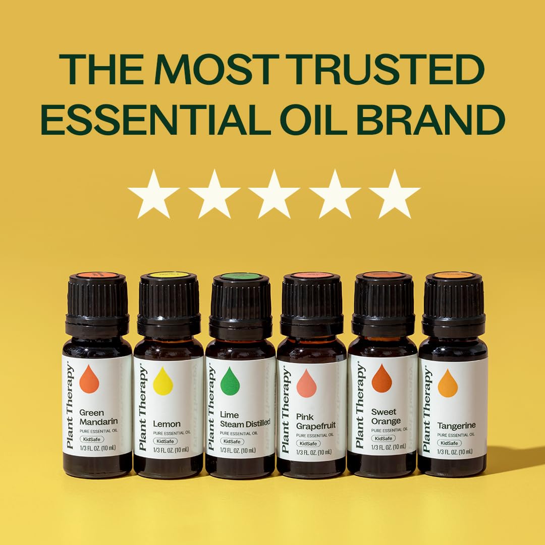 Plant Therapy seis frascos de 10 ml alineados, variedad identificable