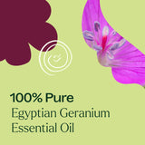 Plant Therapy comparación de tamaño 10 mL para visualización de escala práctica