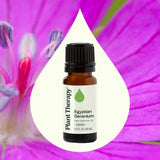 Plant Therapy gota de aceite de geranio en la mano mostrando textura y absorción