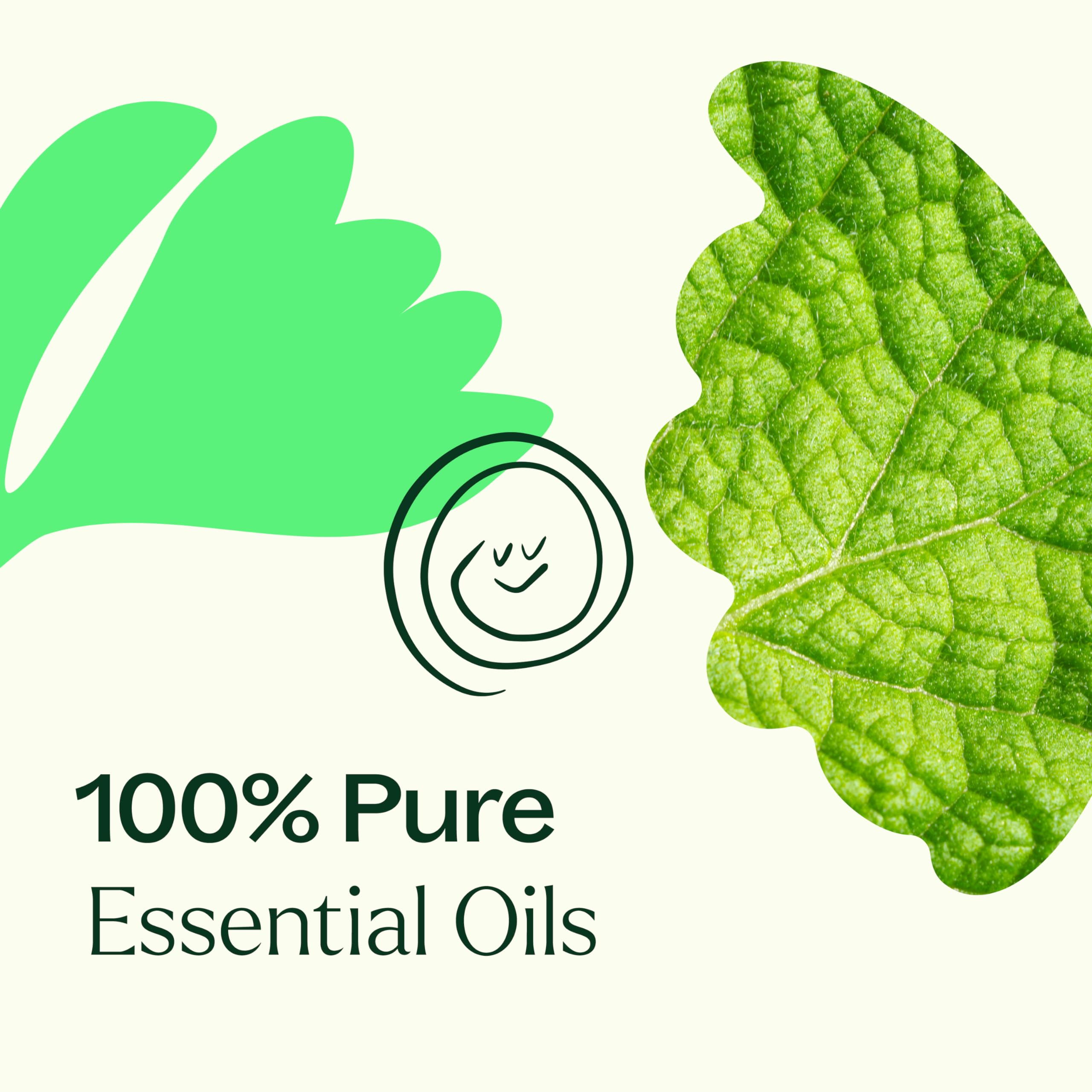 Plant Therapy Gut Aid junto a mano para comparar tamaño y portabilidad