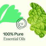 Plant Therapy Gut Aid junto a mano para comparar tamaño y portabilidad