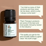 Plant Therapy Helichrysum difundido en difusor creando ambiente relajante