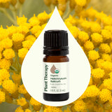 Plant Therapy aceite Helichrysum en difusor, ambiente aromático relajante