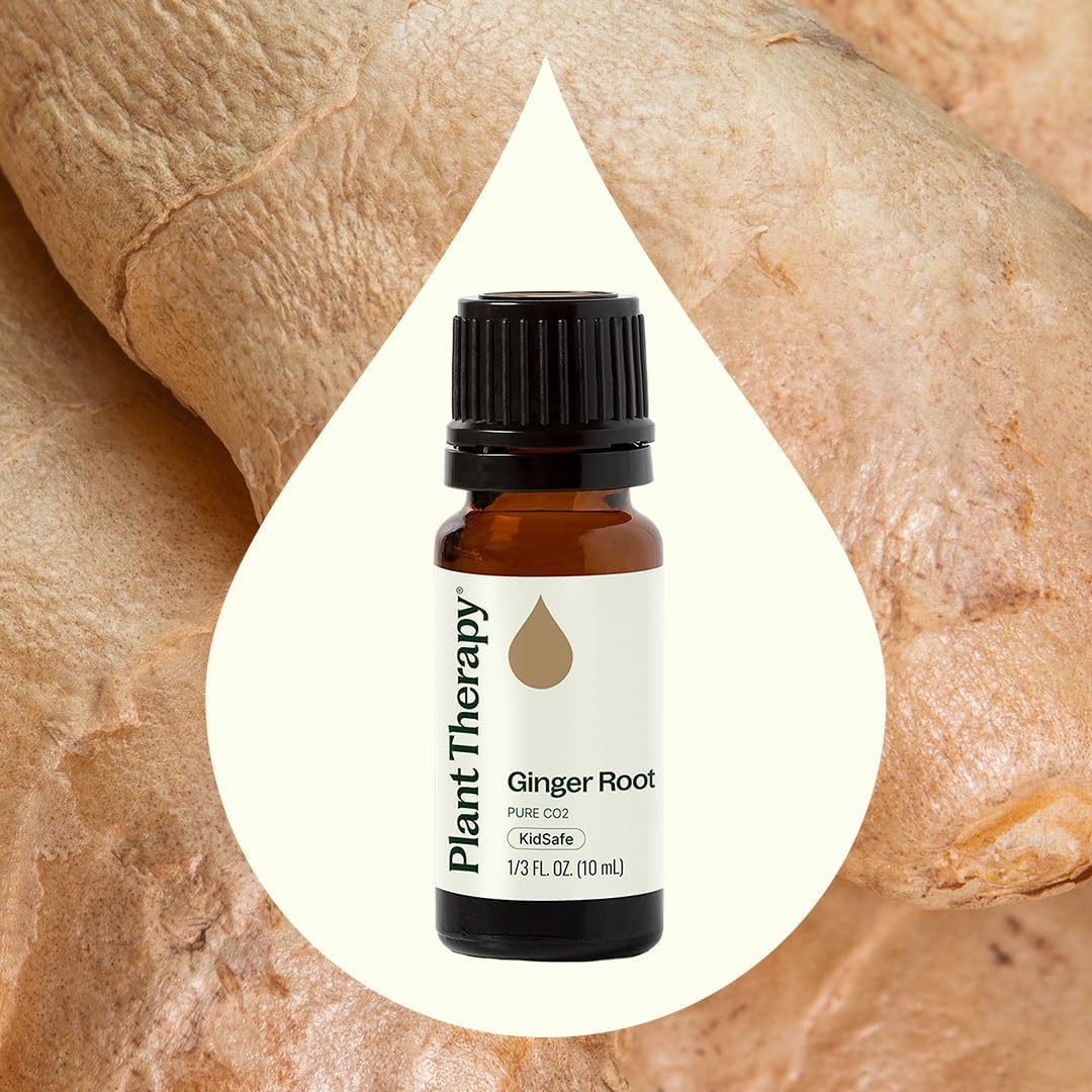 Plant Therapy aceite de jengibre en difusor en ambiente cálido para aromaterapia