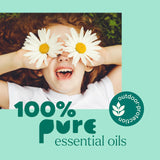 Plant Therapy aceite en difusor en jardín para uso exterior controlado