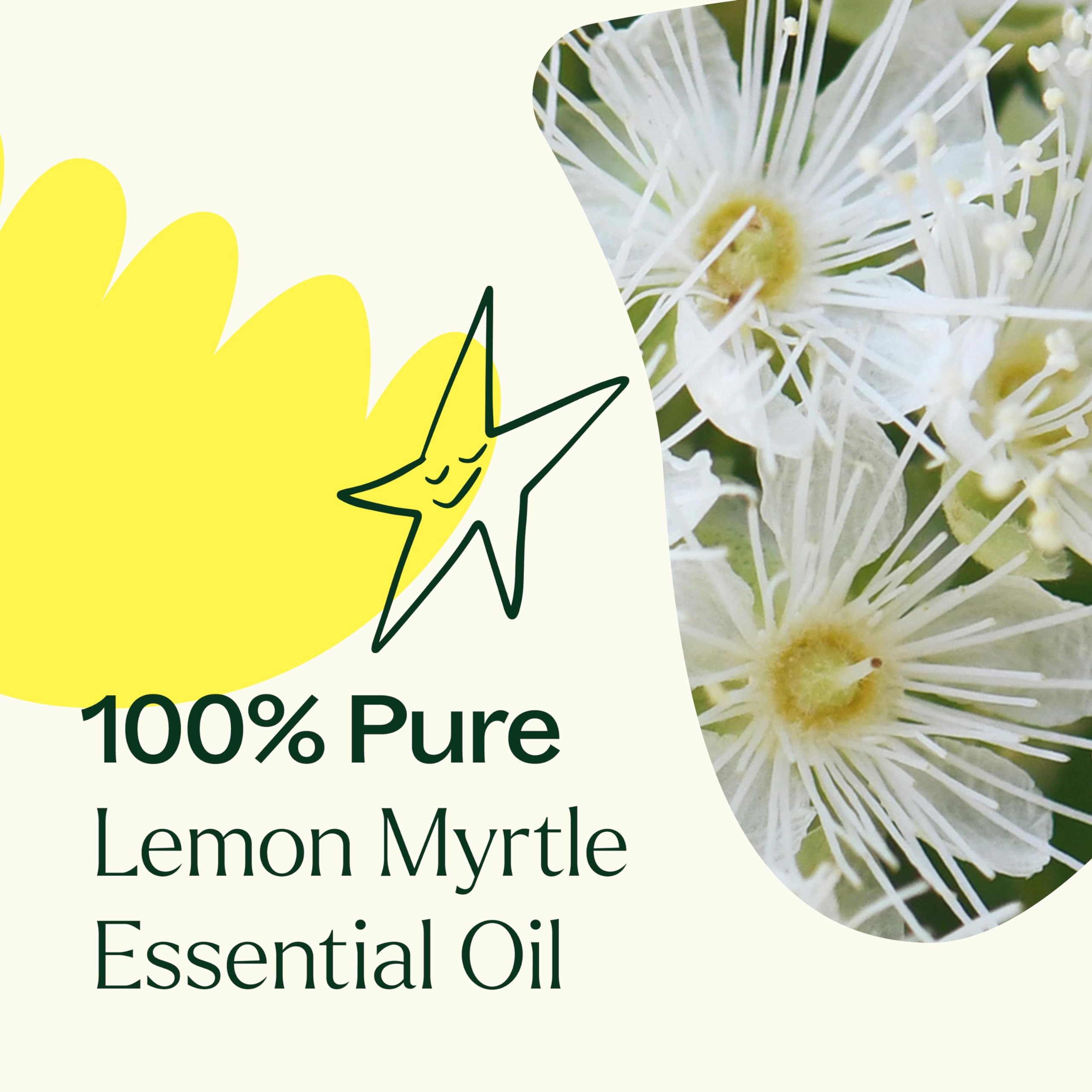 Plant Therapy comparación de tamaño 10 mL para almacenamiento y viaje práctico
