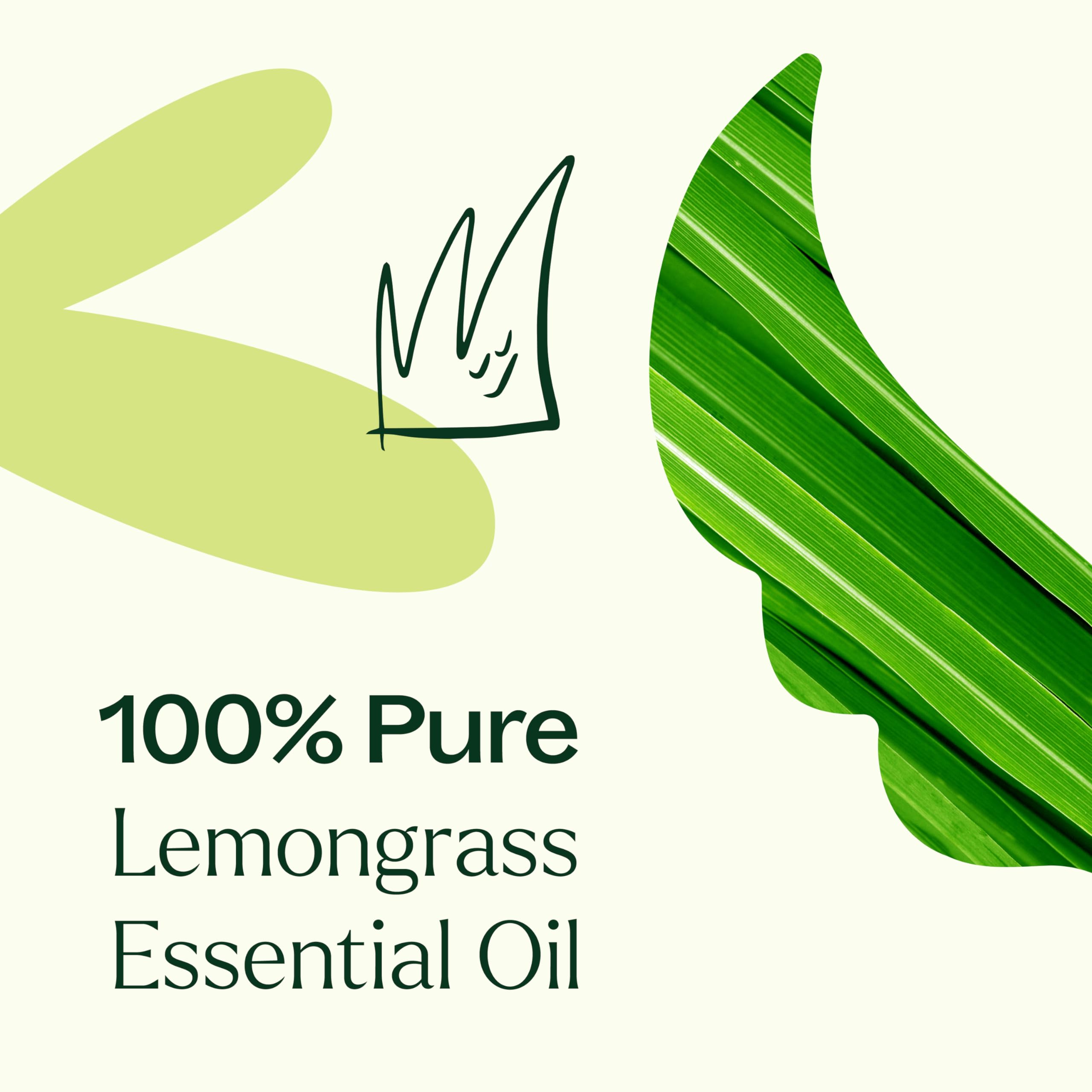 Plant Therapy caja y botella de 30 ml para almacenar aceite esencial en casa