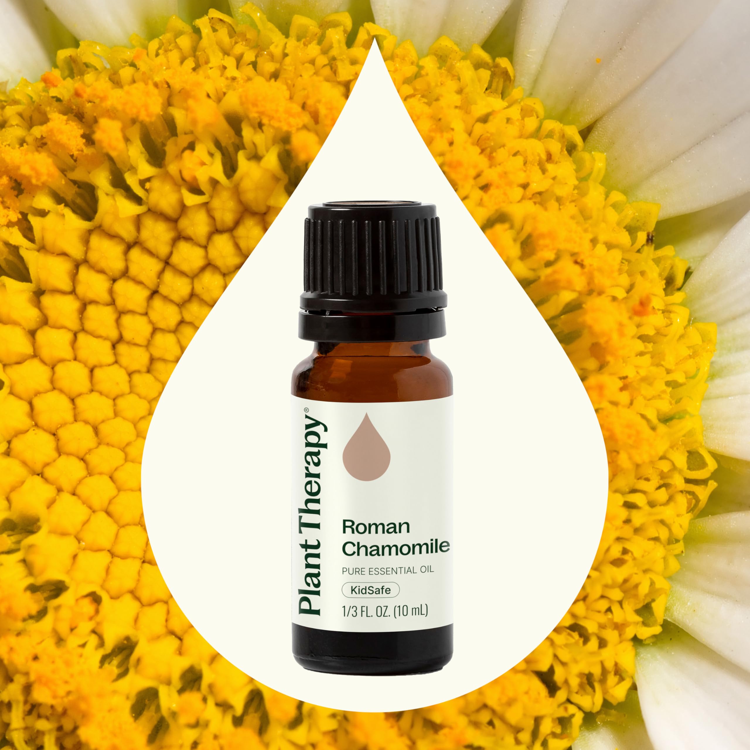 Plant Therapy gotas en difusor creando ambiente relajante nocturno
