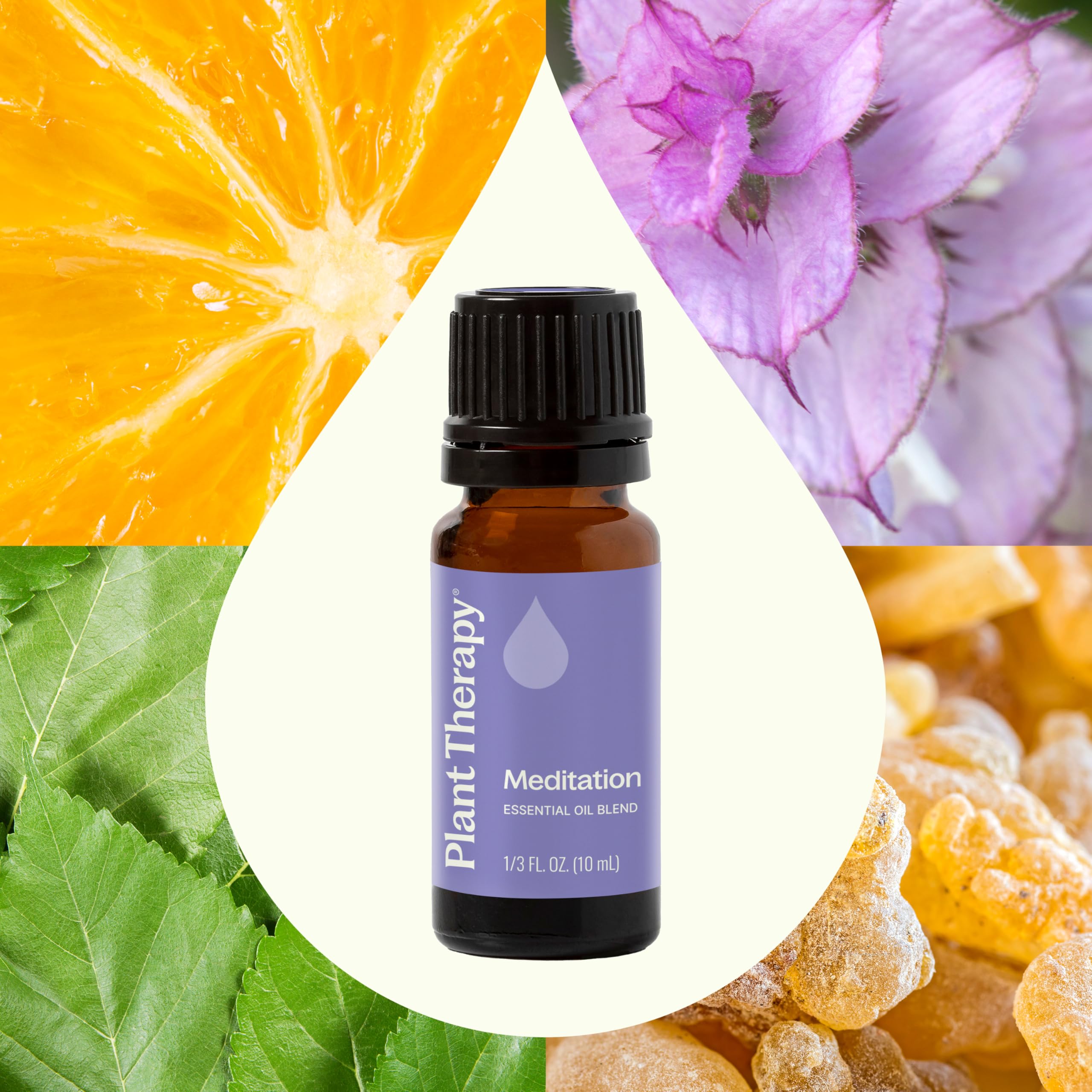 Plant Therapy aceite en difusor creando ambiente relajante
