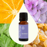 Plant Therapy aceite en difusor creando ambiente relajante