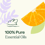 Plant Therapy tamaño del frasco 10 mL junto a moneda para escala