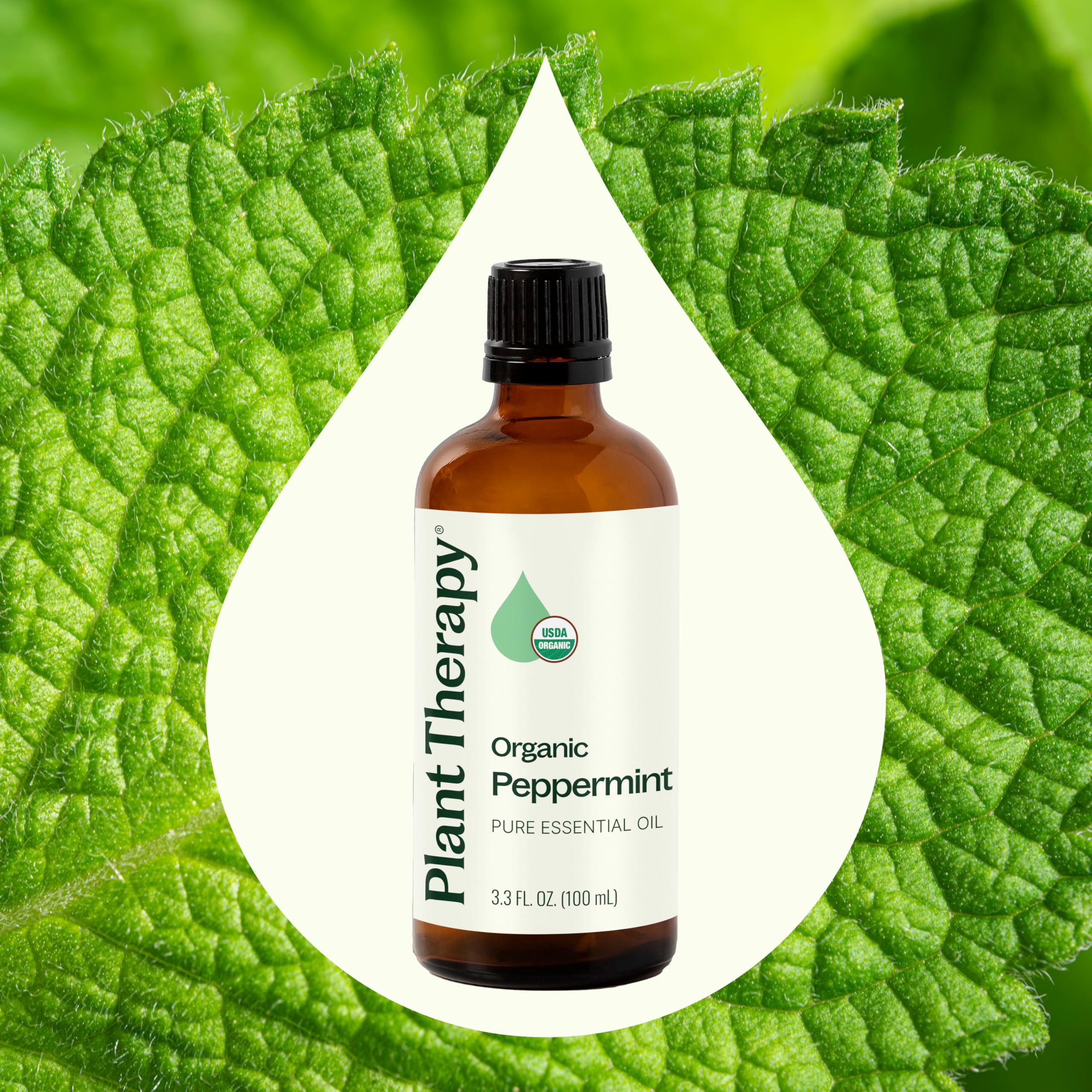 Plant Therapy aceite en difusor creando ambiente fresco y vigorizante
