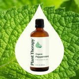 Plant Therapy aceite en difusor creando ambiente fresco y vigorizante