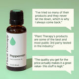 Plant Therapy aceite de menta en difusor para aromaterapia en sala