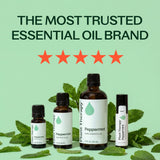 Plant Therapy gota de aceite de menta sobre superficie que muestra pureza