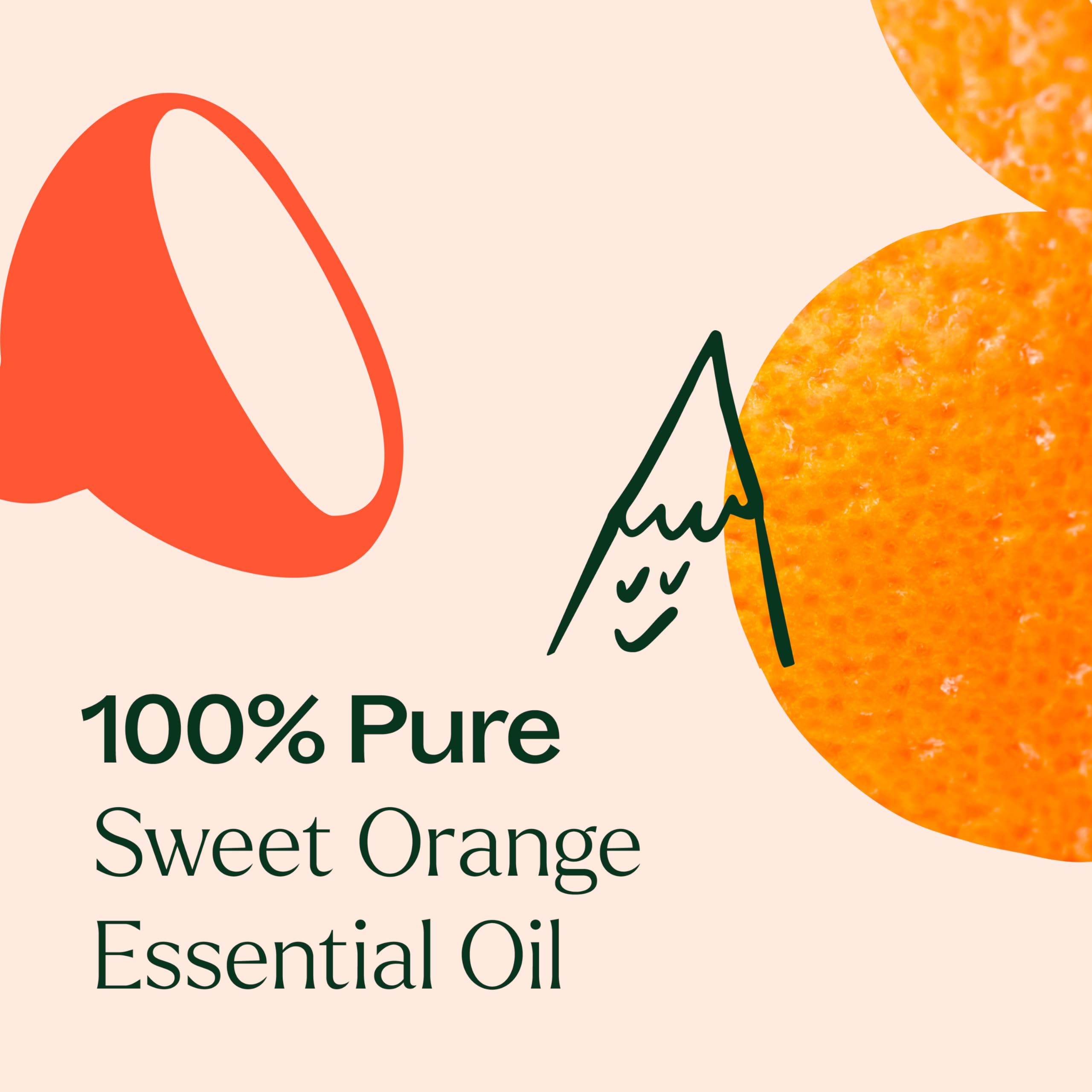 Plant Therapy botella de 100 mL junto a una regla para comparar tamaño práctico