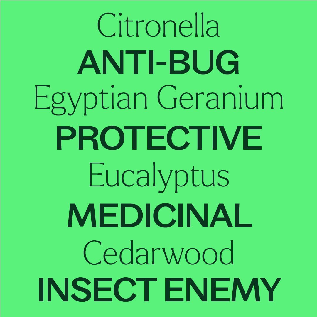 Plant Therapy Nature Shield dispersándose en difusor en patio, ambiente agradable