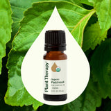 Plant Therapy pachulí aplicado diluido en piel mostrando absorción y aspecto natural