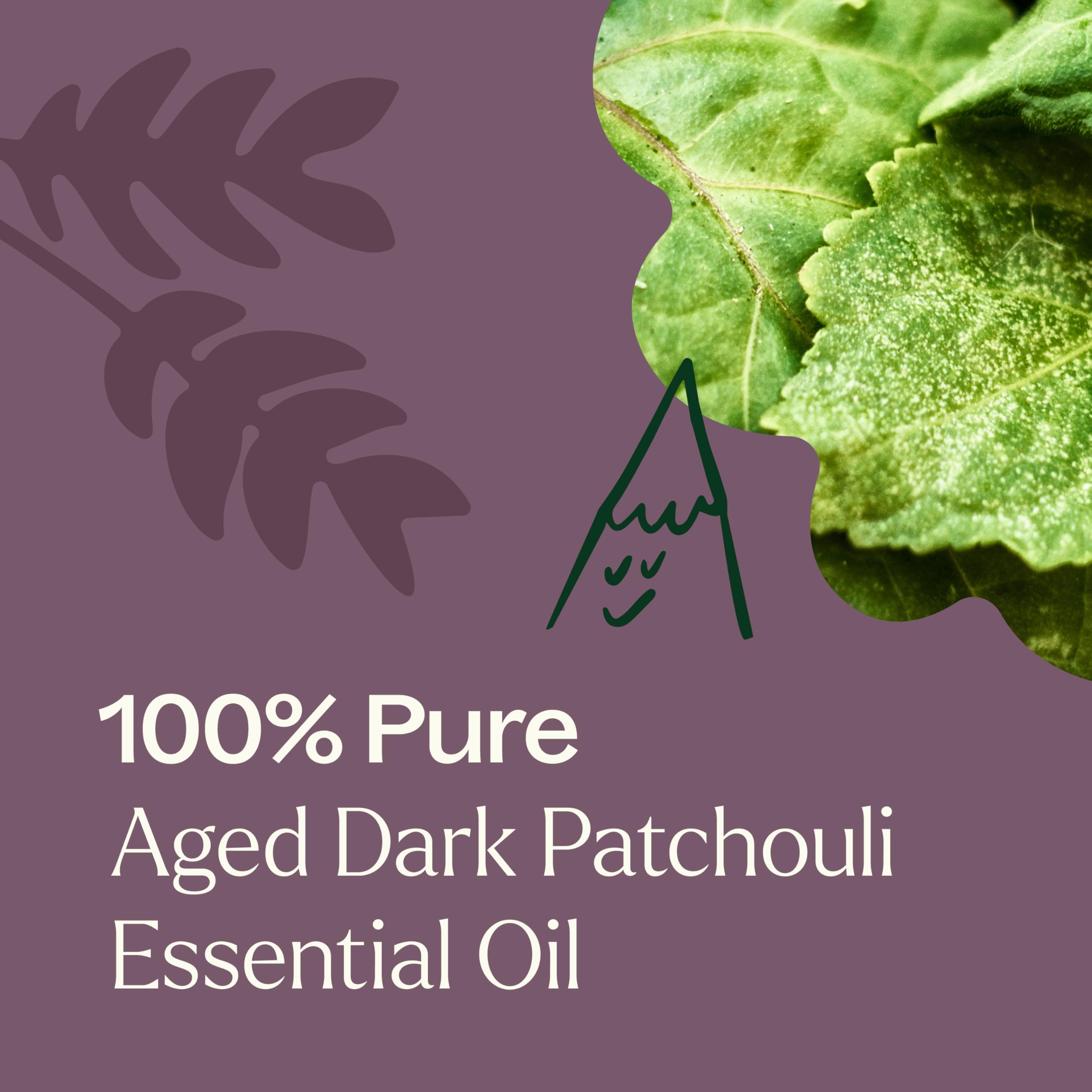 Plant Therapy frasco de 10 ml que evidencia tamaño práctico y controlado