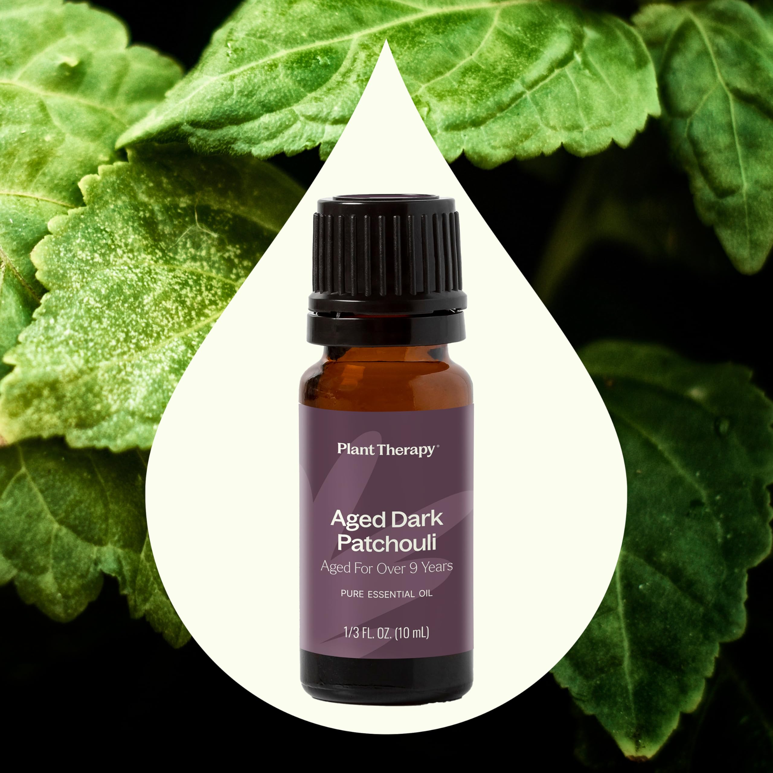 Plant Therapy gota de patchouli oscuro sobre superficie, mostrando textura rica