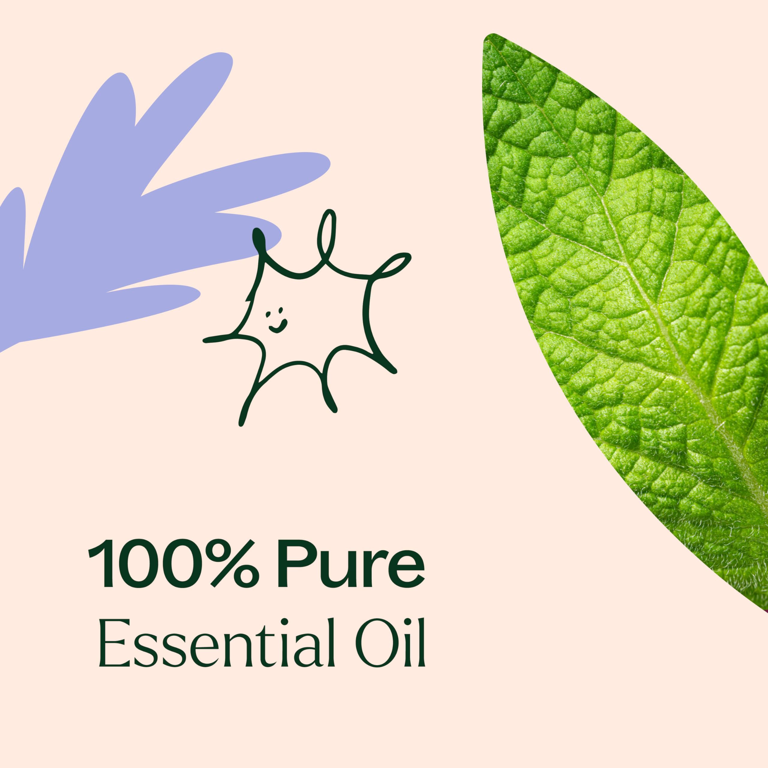 Plant Therapy Respir Aid diluido y aplicado en pecho para masaje reconfortante