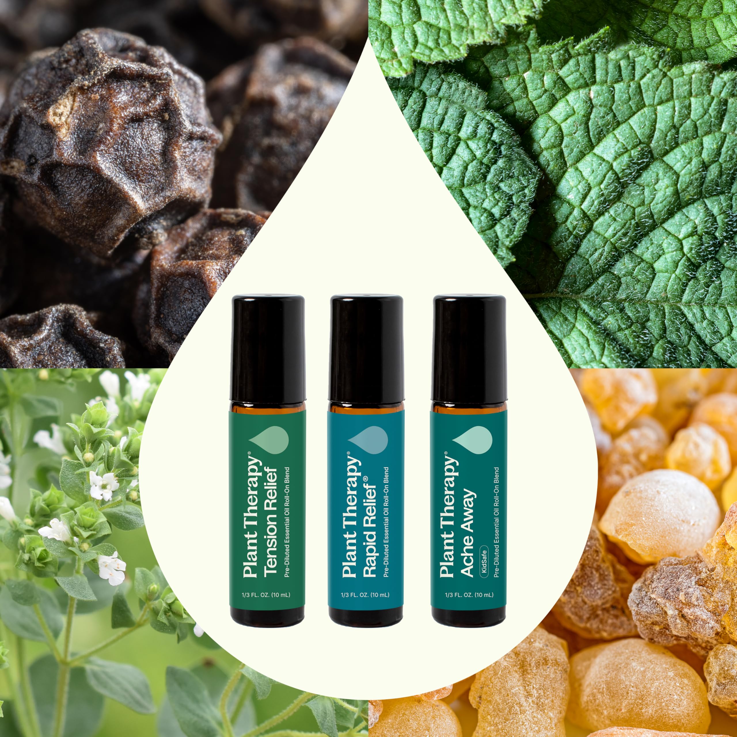 Plant Therapy etiquetas legibles del roll-on indicando nombre y base de aceite