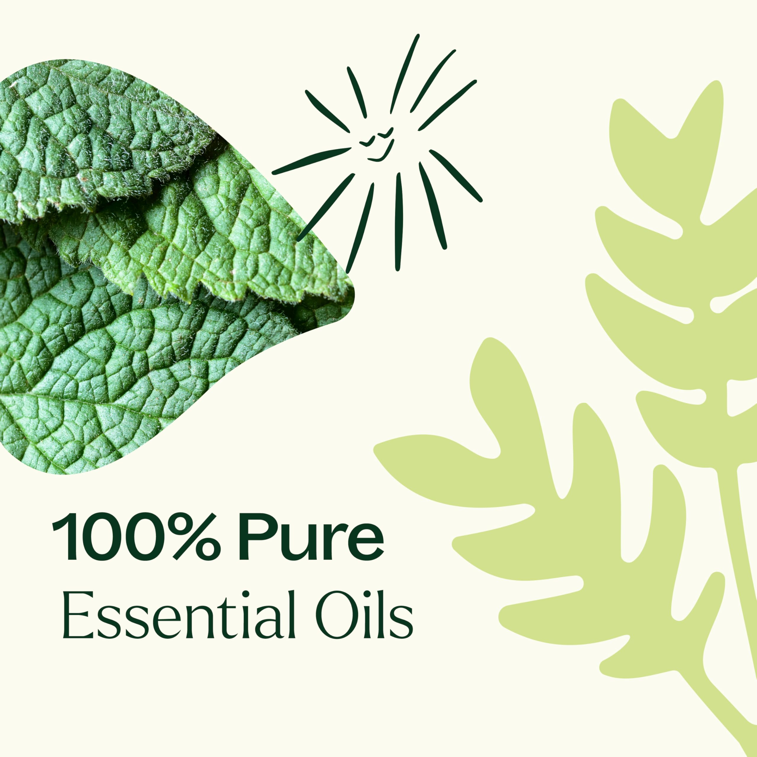 Plant Therapy roll-on en mano para escala y comodidad de transporte