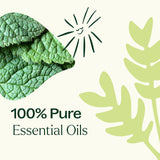 Plant Therapy roll-on en mano para escala y comodidad de transporte