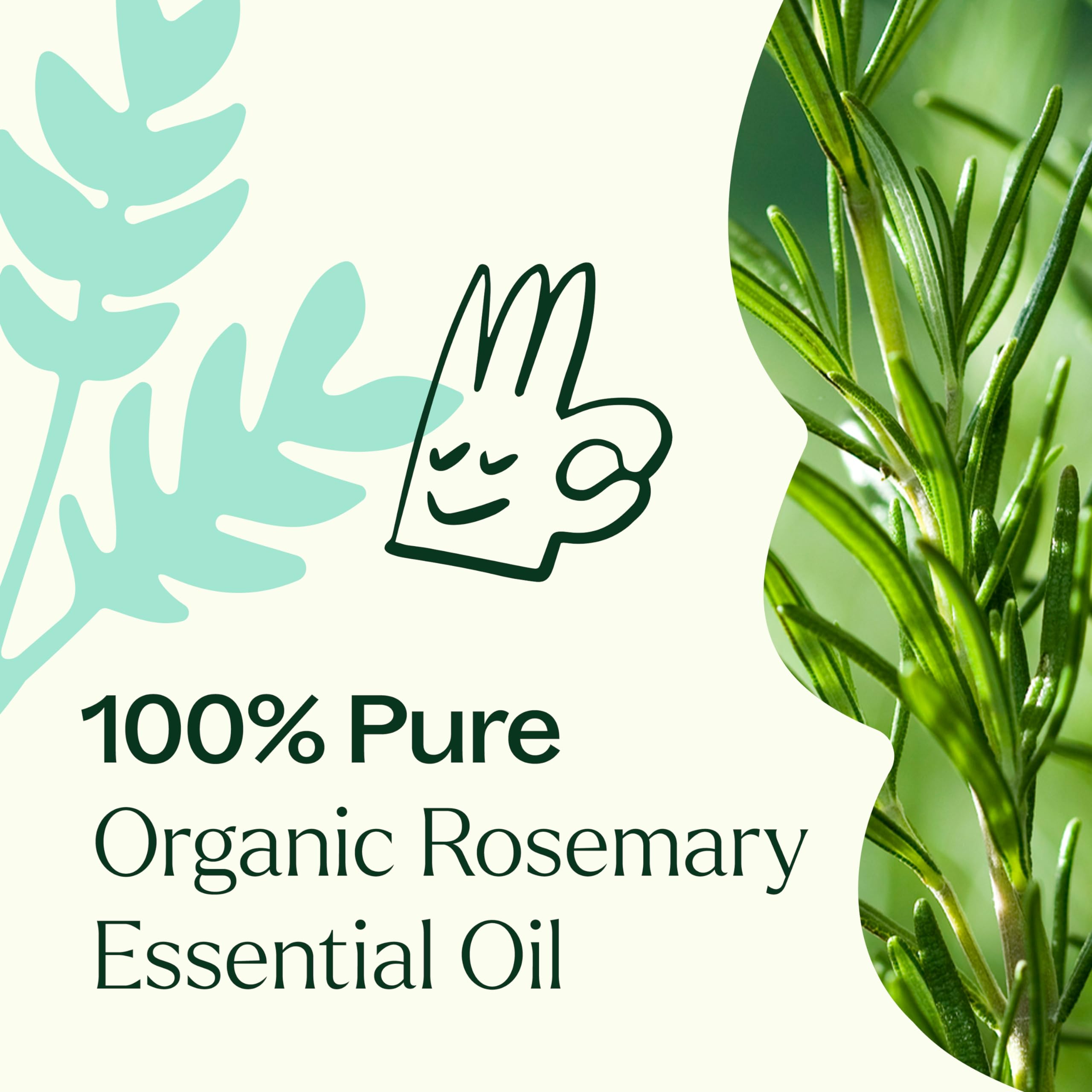 Plant Therapy romero botella junto a regla que muestra tamaño 100 ml
