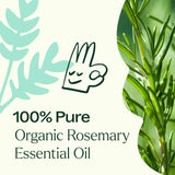 Plant Therapy romero botella junto a regla que muestra tamaño 100 ml