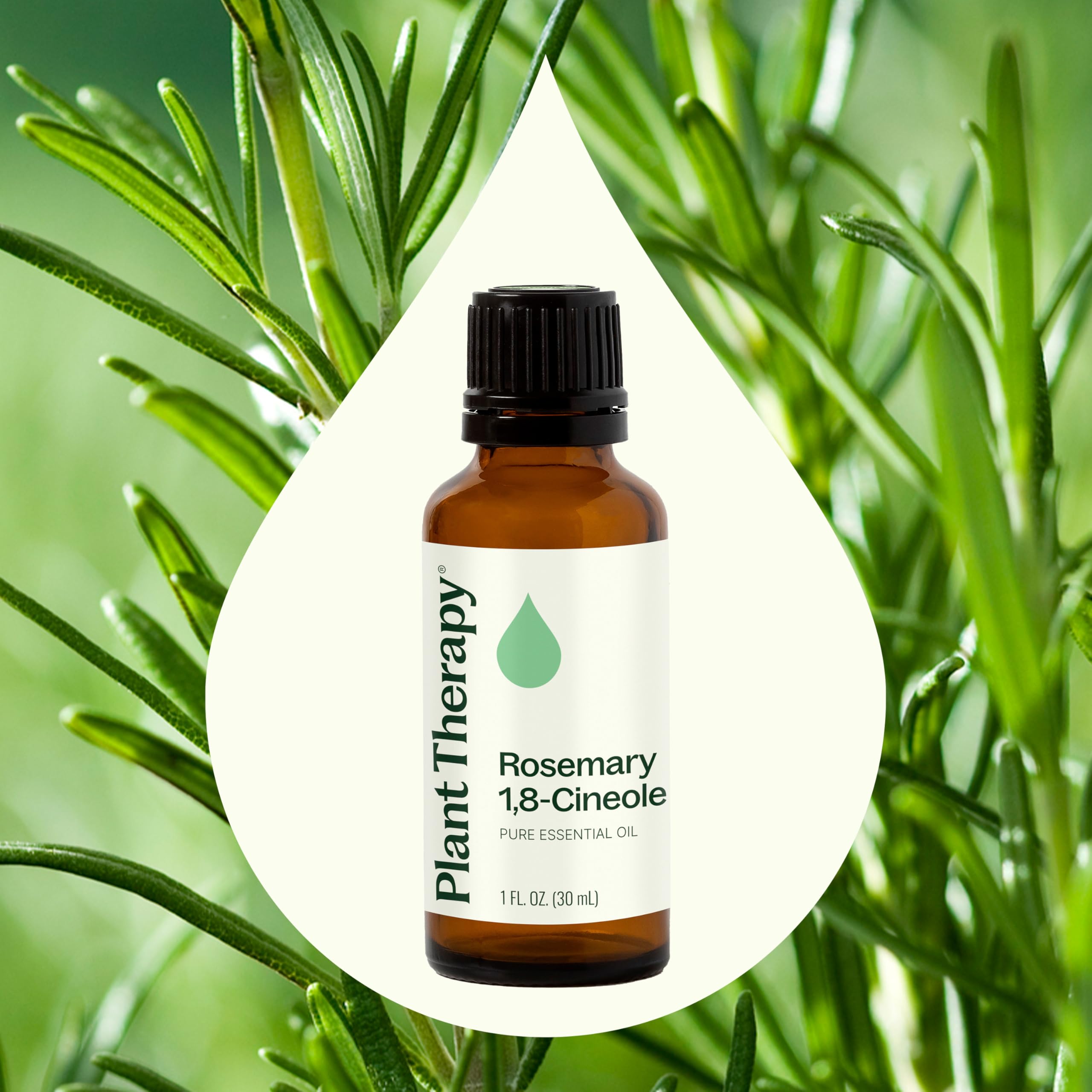 Difusor en uso con aceite de romero Plant Therapy creando ambiente de concentración