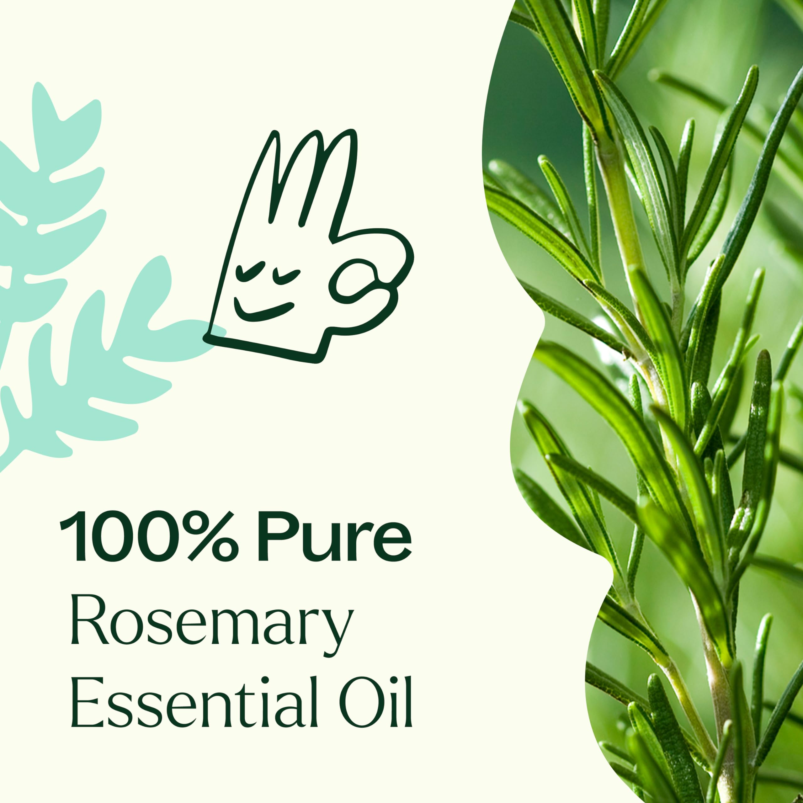 Plant Therapy masaje capilar con romero para apoyar salud del cuero cabelludo