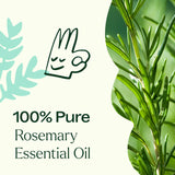 Plant Therapy masaje capilar con romero para apoyar salud del cuero cabelludo