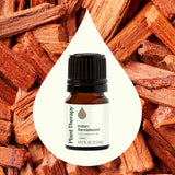 Plant Therapy primer plano del vidrio ámbar que protege el aceite de sándalo indio