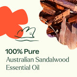Plant Therapy etiqueta del aceite con detalles de lote y pureza visibles