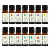 Plant Therapy vista frontal del set de 14 botellas, variedad y conveniencia